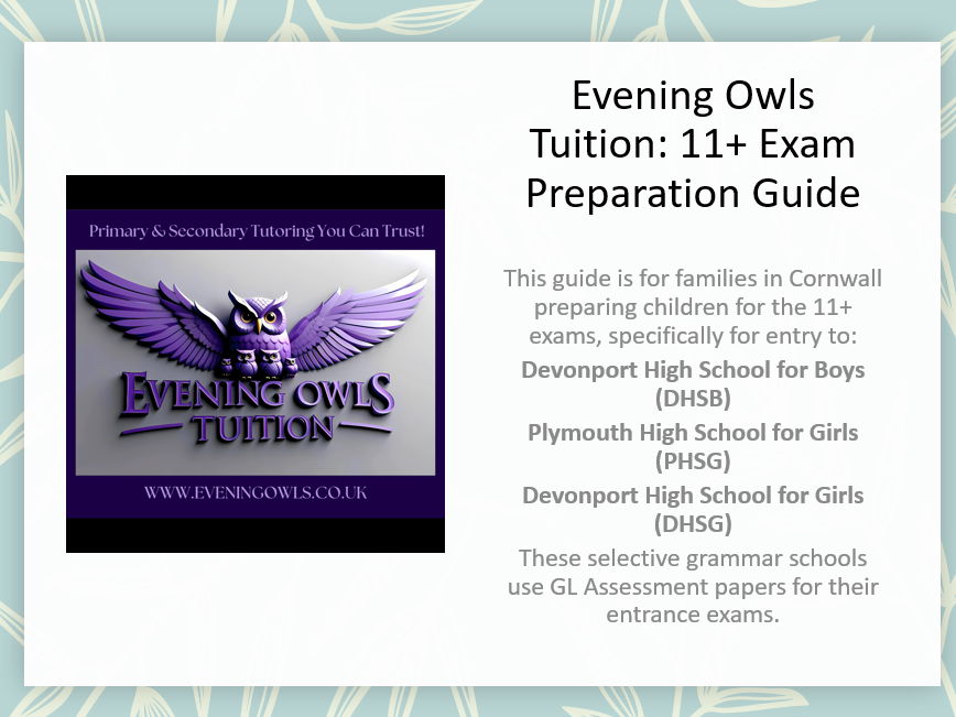 Evening Owls Tuition's Guide to 11+ Choices for Cornish Students – The Plymouth Schools