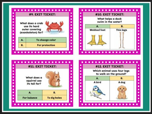 TEKS Science 1.13A Animal Body Parts and How They Help Them Survive