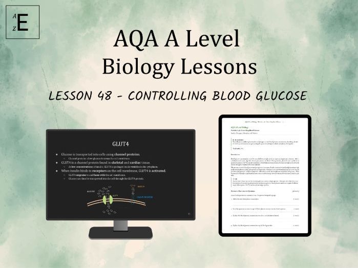 AQA A Level Biology Lesson 48 - Controlling Blood Glucose