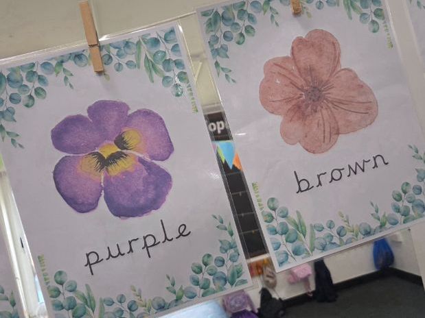 Botanical Flower Colour Recognition Posters