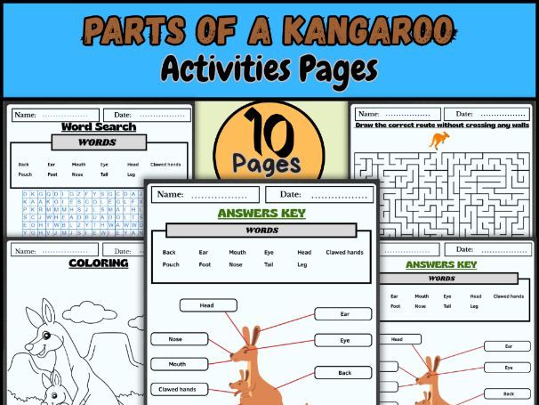 Parts of a Kangaroo – Labeling, Coloring, and Word Search Science Activity