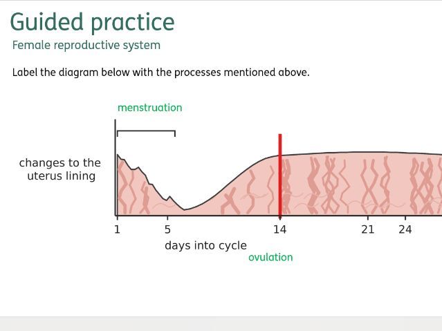 Hormones in human reproduction