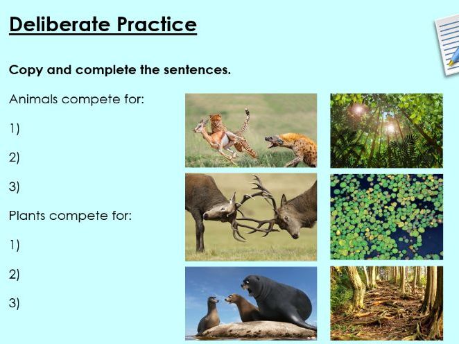 Competition - KS3 Activate lesson