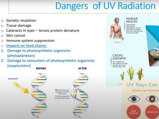 ESS 6.4 Stratospheric ozone first exams 2026