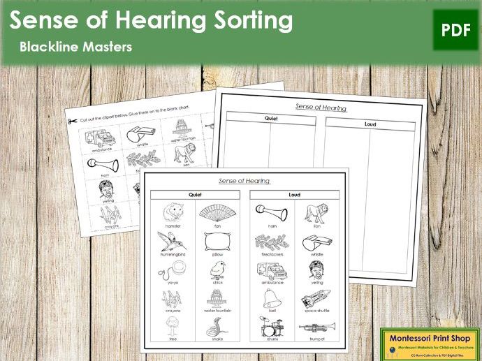 Sense of Hearing Sorting Blackline Masters Teaching
