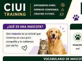 Mis Mascotas | Spanish Pets Vocabulary Poster & Student Worksheet | GCSE Spanish | KS3 Spanish