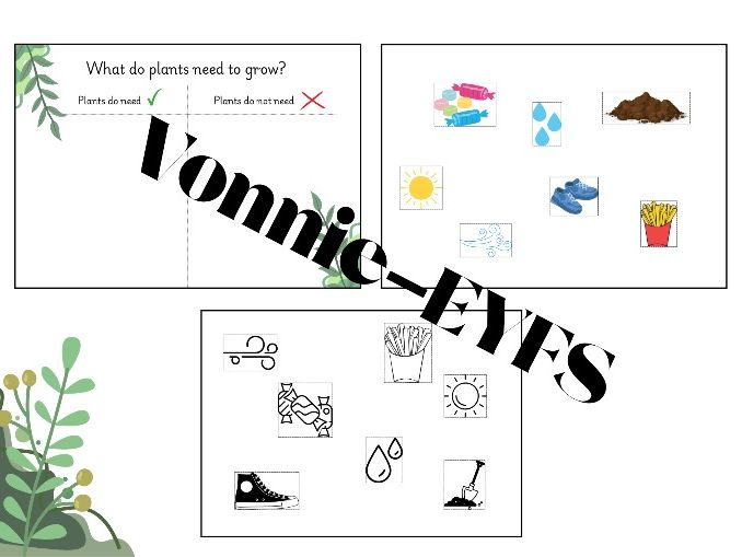 What Do Plants Need To Grow?