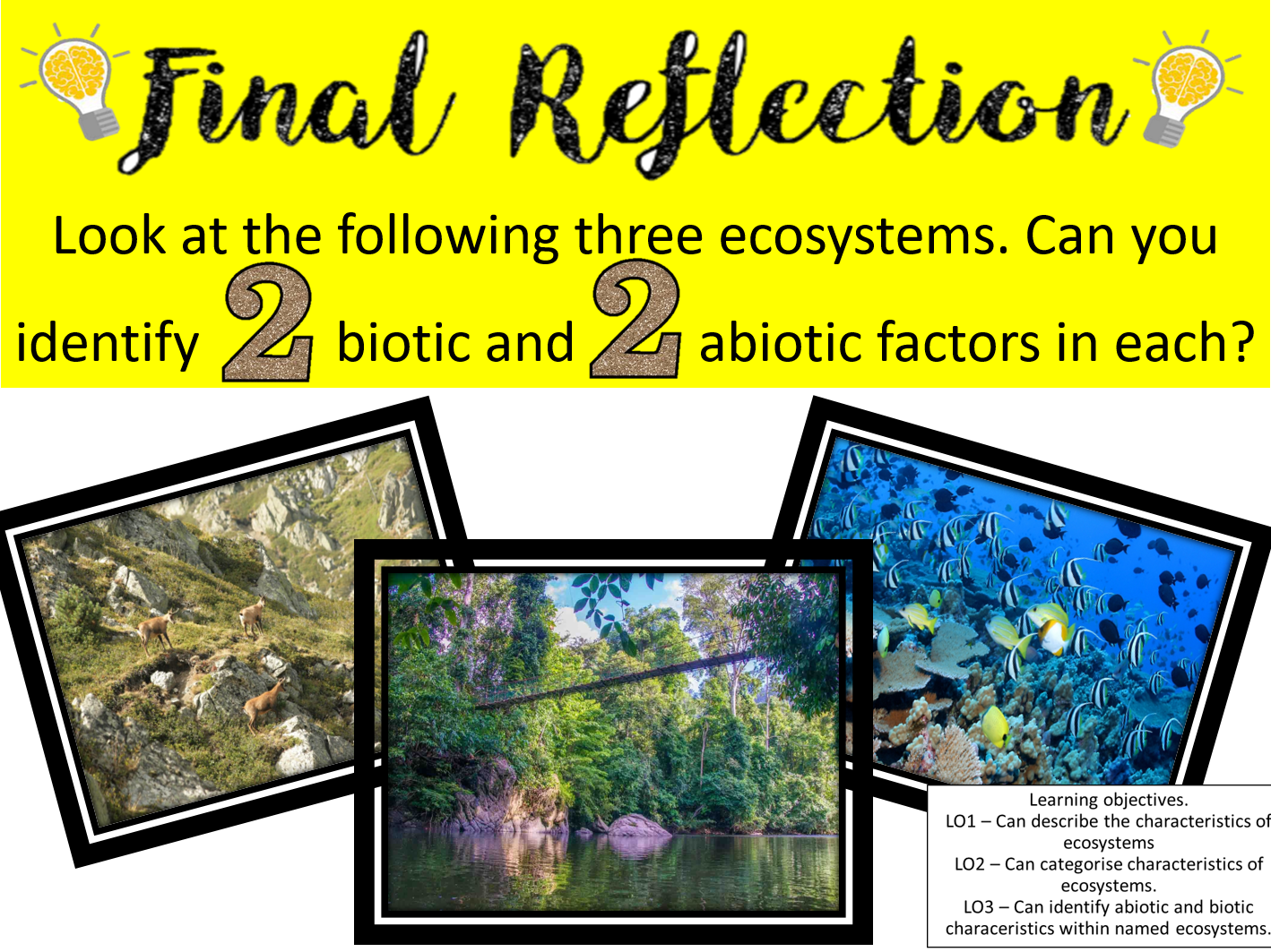 EARTHCYCLES AND ECOSYSTEMS