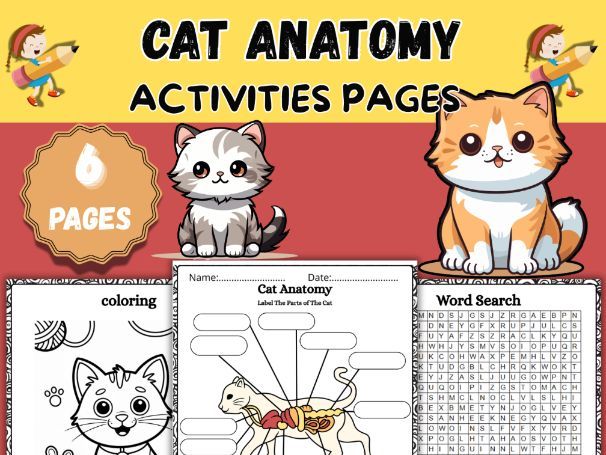 Parts of a Cat Worksheets