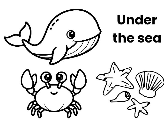 Support early learning with these bright and engaging sea creature photo cards. Designed for EYFS ch