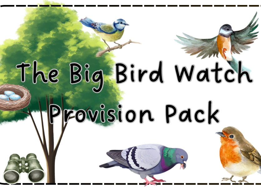 Big Bird Watch Provision Bundle