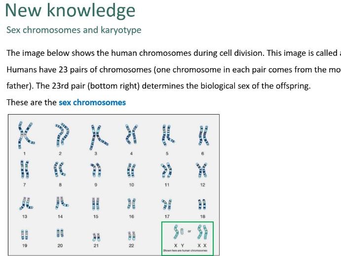 Sex determination (GCSE)
