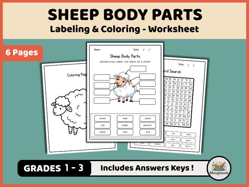 Sheep Body Parts | Mammal Anatomy | Labeling & Coloring | Farm Animals | Science Worksheet | KS1 | K