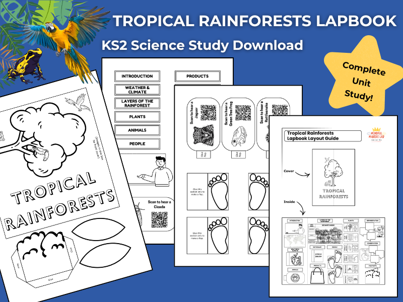 Tropical Rainforests KS2 Science Activities | Lapbook