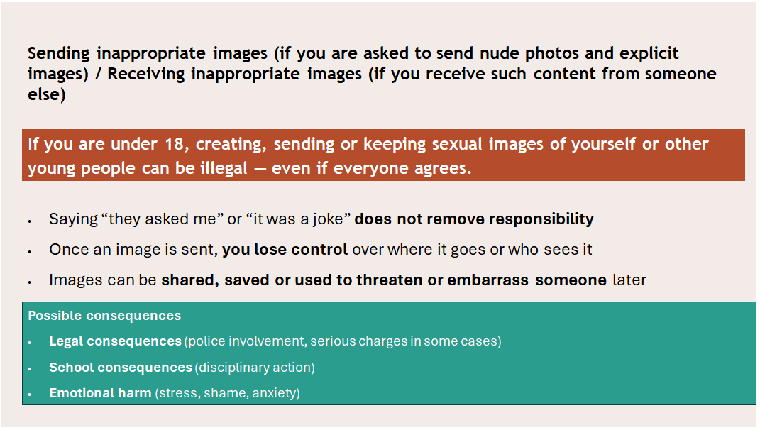 ppt, 2.72 MB