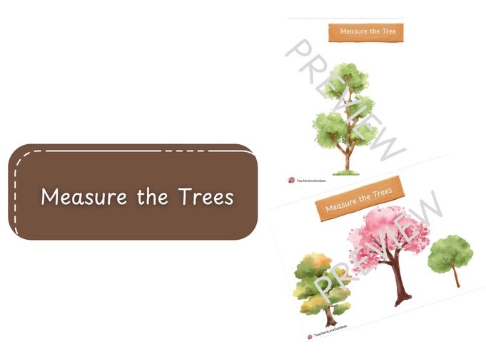 Measure the Woodland Trees
