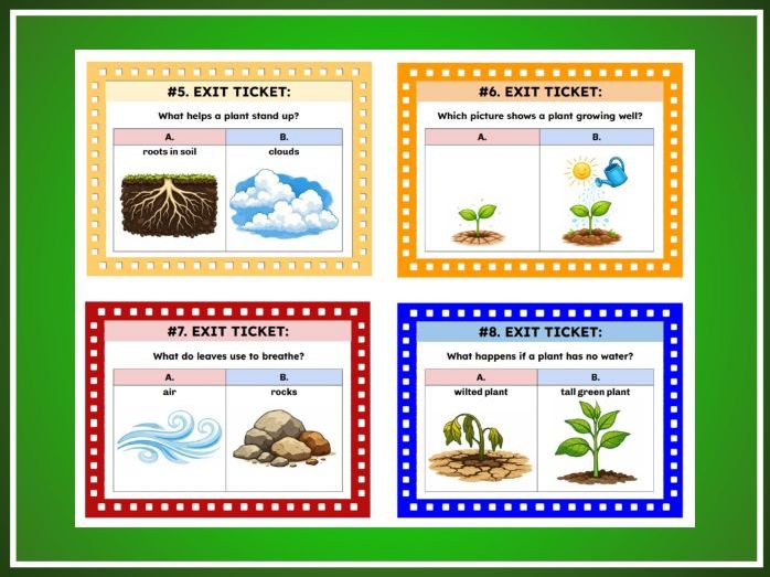 Plants Need Sun, Air, and Water | Kindergarten Science | TEKS K.12A