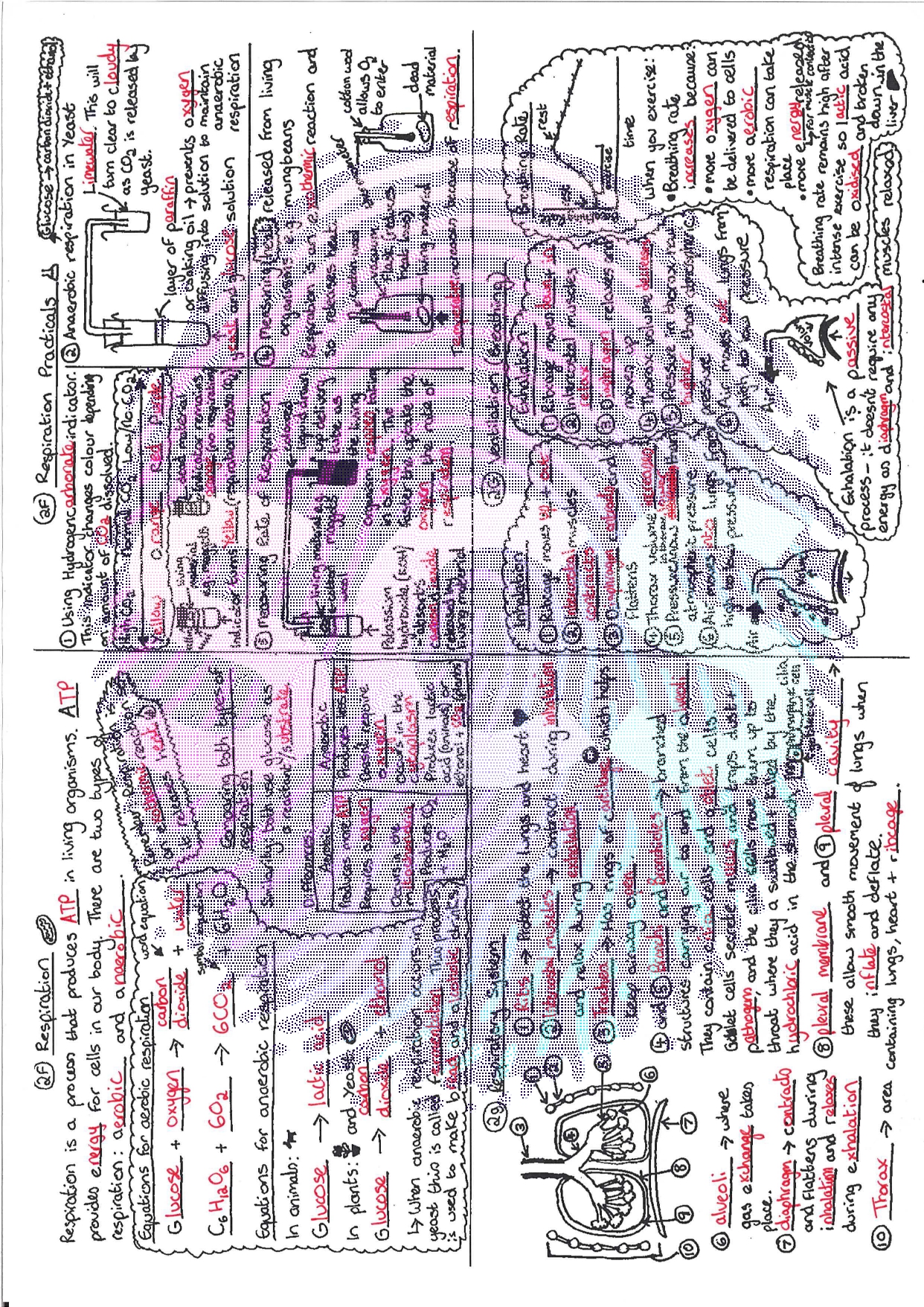 pdf, 972.62 KB
