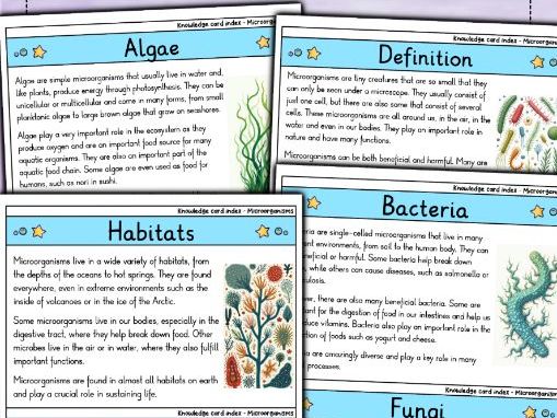 Great Apes - Flashcards | Biology | Species, Behavior & Evolution