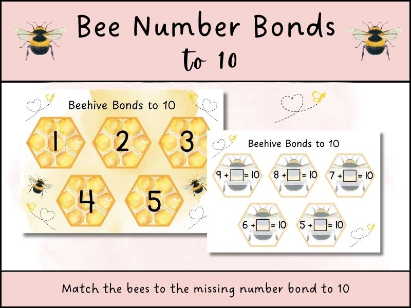 Number Bonds to 10 Bee Maths Activity EYFS
