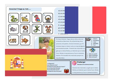 Pets (French & Spanish) - Complete Unit with Assessment & Mark Scheme (also suitable for cover)