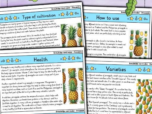 Pineapple | Biology | Tropical Fruit & Nutritional Value