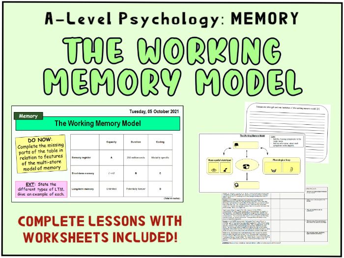 MODELS OF MEMORY BUNDLE: Includes the Multi-Store Model and The Working ...