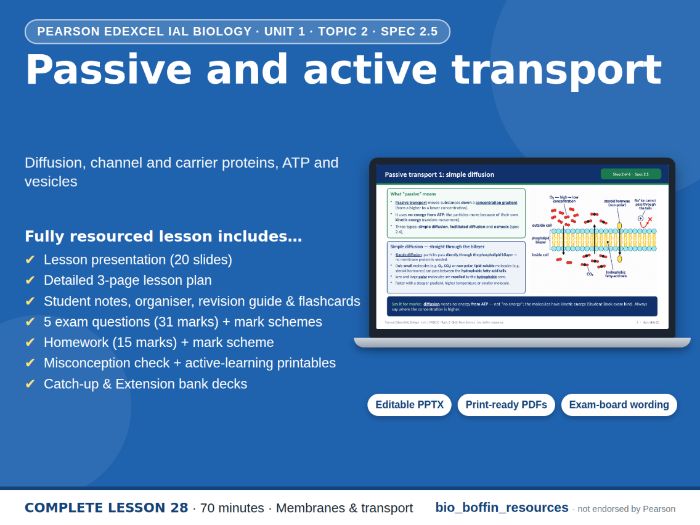 IAL Biology Edexcel – Active Transport