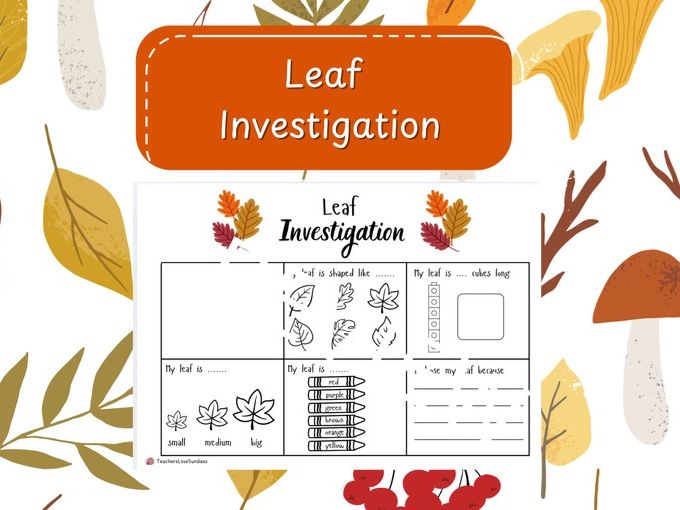 Leaf Investigation
