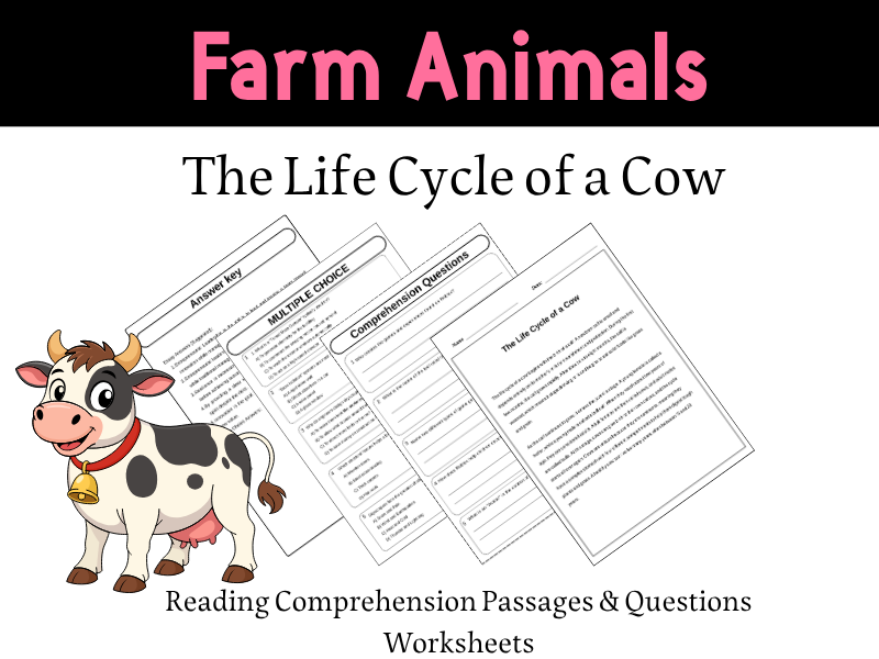 The Life Cycle of a Cow Reading Comprehension Passages & Questions Worksheets