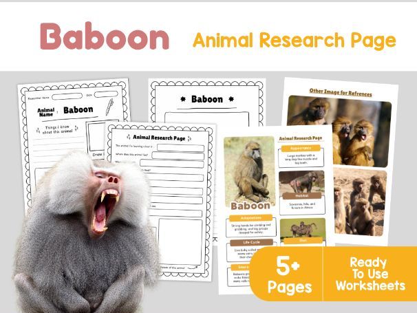 Baboon Animal Research Page | African Wildlife KS2 Worksheets