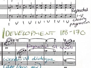 Schubert Symphony 5 in Bb major ANNOTATED SCORE MOVEMENT 1