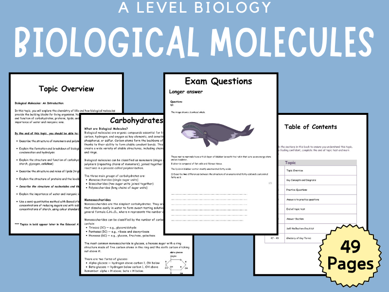 BIOLOGICAL MOLECULES Revision Booklet (A Level Biology)