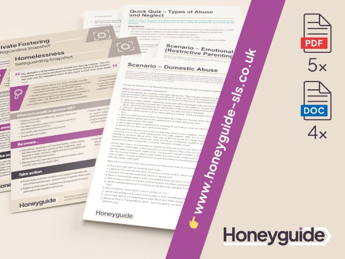 Safeguarding in the Home Training Pack
