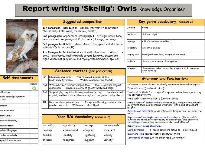 Skellig Owl report Knowledge organiser