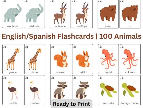 English - Spanish Flashcards – Animals Vocabulary | 100 Printable Cards for Early Learners