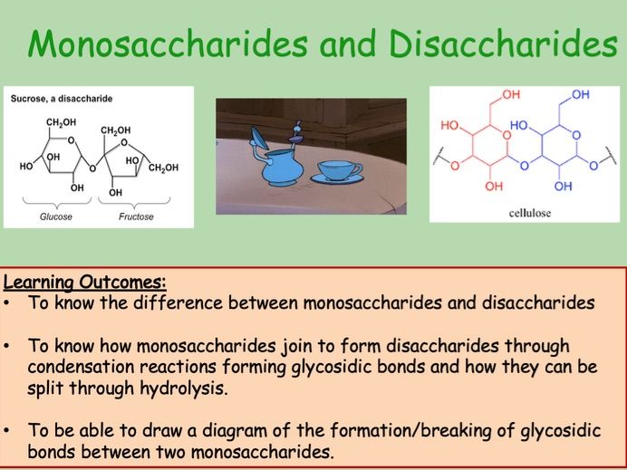 Edexcel IAL Biology Topic 1A  - Lesson 3 - Monosaccharides and Disaccharides