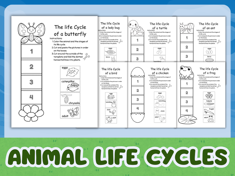 Animal Life Cycles - A Cut and Paste Activity for Kids