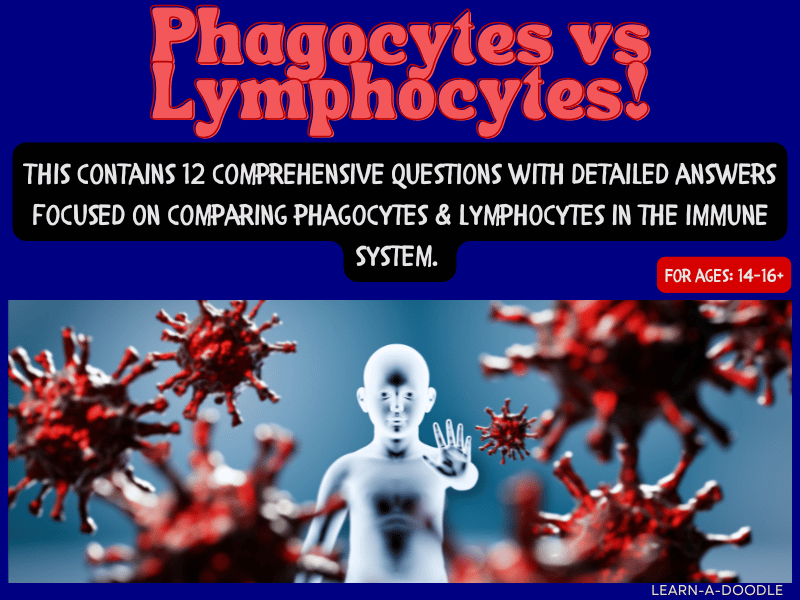 Biology Comparison Questions & Answers: Phagocytes vs Lymphocytes!