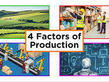 Cambridge iGCSE Business - 1.1 Business Activity