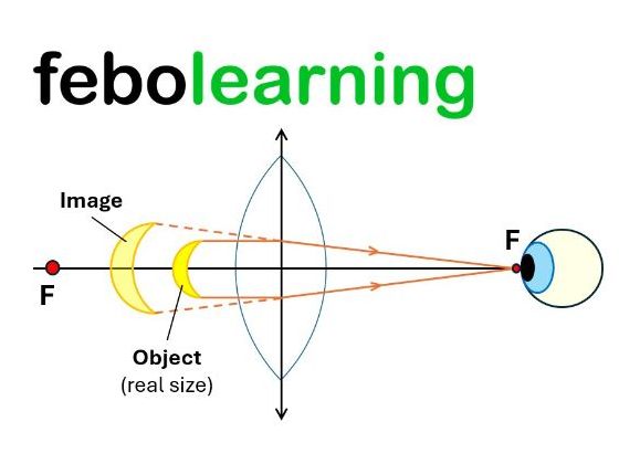 Magnification and Concave Lenses Lesson GCSE Physics