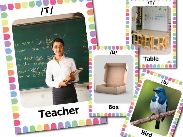 /T/ & /B/ Sound Words Vocabulary Flashcards with Real Photos for Preschool and Early Learners