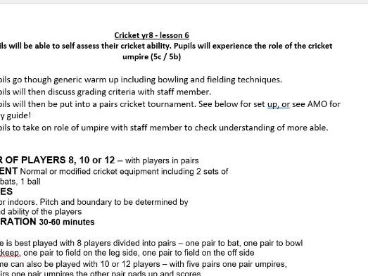 Year 8 Cricket lessons