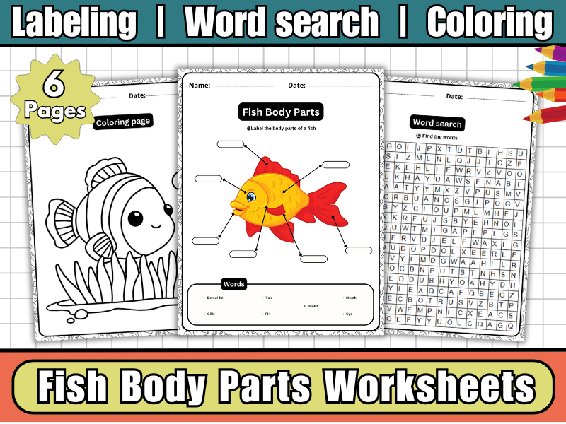 Fish Body Parts-Labeled Diagram Worksheets,Word Search & Coloring | Ocean Science Activity for Kids