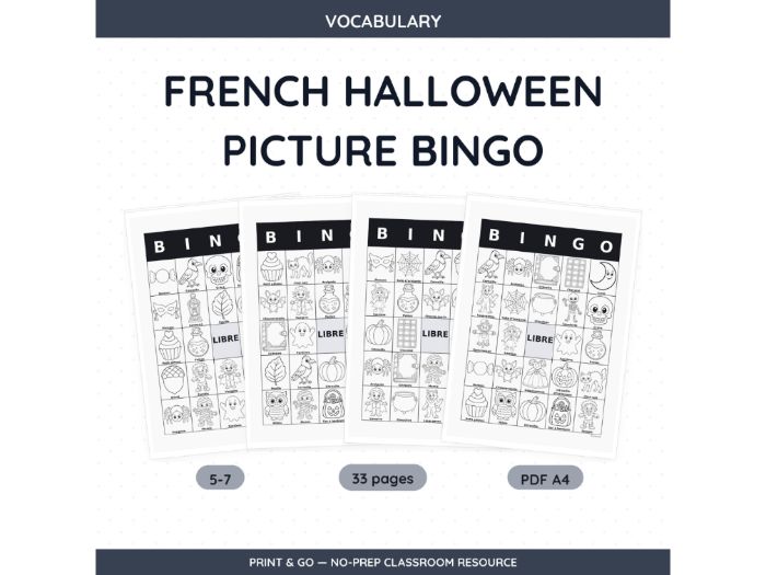 French Halloween Picture Bingo | 33 Sheets