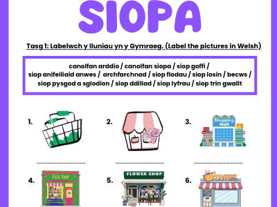 Adolygu Siopa / Revising shopping - worksheet