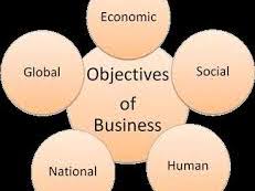 1.4.2 Objectives and Business Decisions