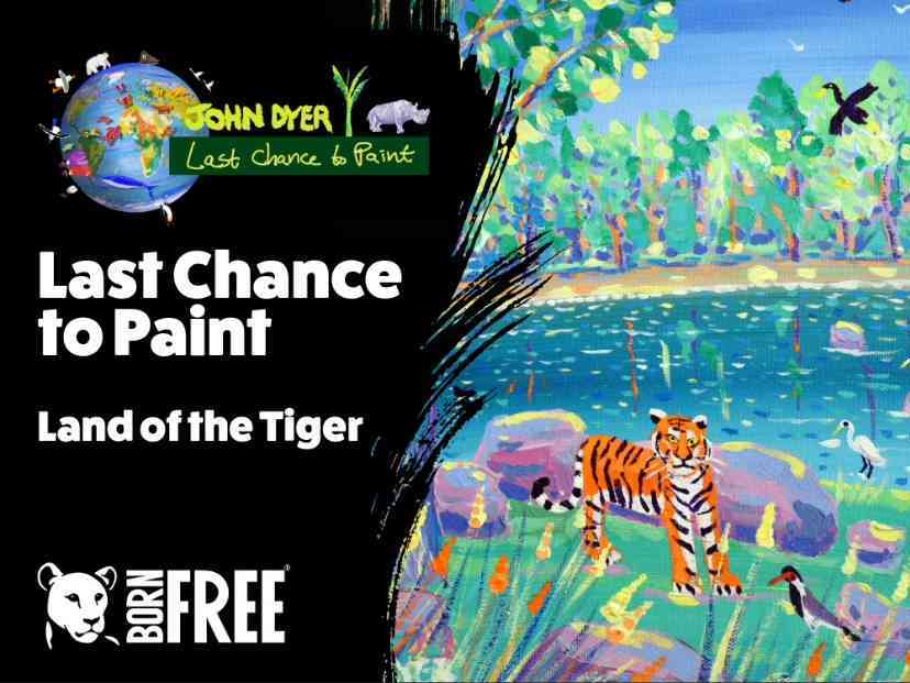 Last Chance to Paint. Chapter 4: Land of the Tiger (India)