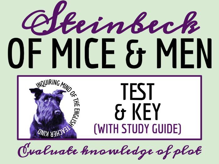 Of Mice and Men by John Steinbeck Test, Answer Key, and Study Guide | Final Exam