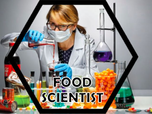 Food classroom careers display